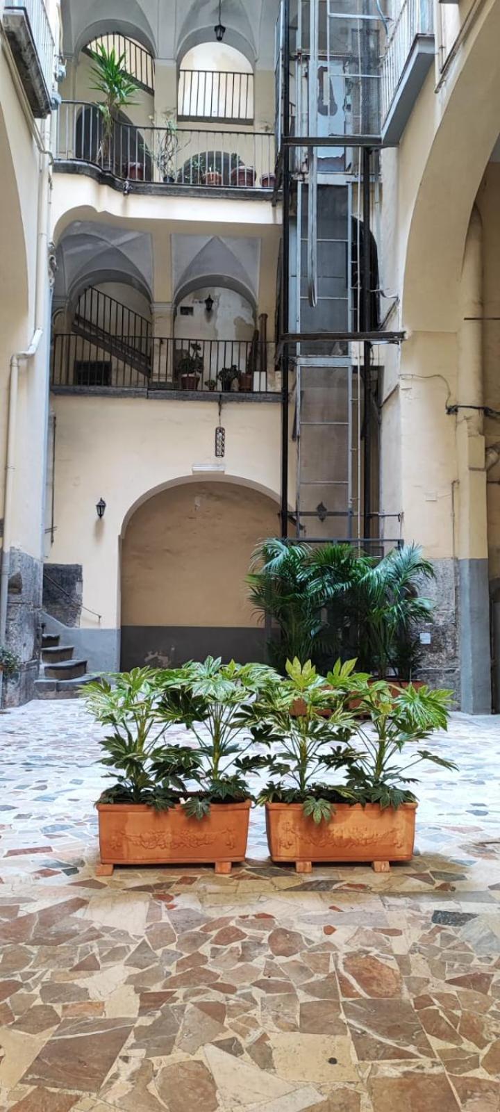 La Chicca Appartamento Intero Nei Quartieri Spagnoli 那不勒斯 外观 照片